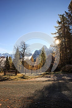 Mountain pasture with morning frost and desolate road