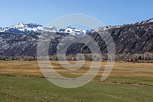 Mountain pasture in Ridgway Valley, Colorado