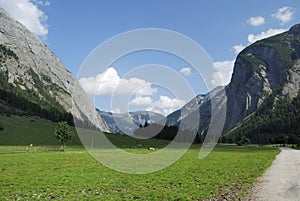 Mountain pasture in Tirol