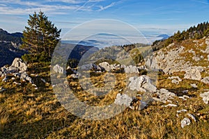 Mountain pastures of Charmant-Som over sea of clouds photo