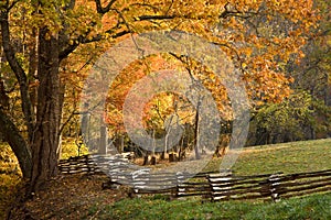 Mountain pastures with split rail fence.