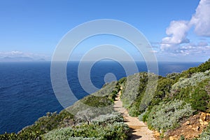 Mountain path photo