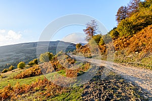 Mountain path in autumn landscape. Panoramic view over mountain