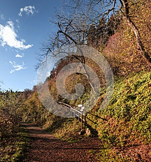 Mountain path in autumn season, Campo dei Fiori - Varese