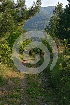 Mountain path in clear day