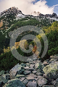 Mountain path in High Tatras, Slovakia