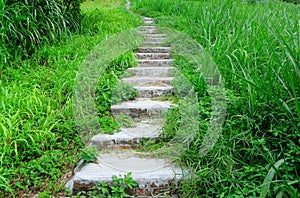 Mountain path for hiking