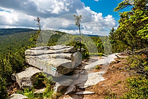 Mountain path in the Karkonosze Mountains