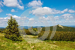 Mountain path in the Karkonosze Mountains