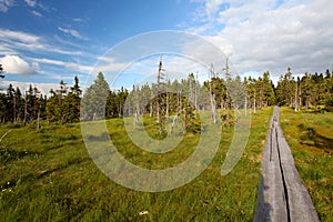 Mountain path in Krkonose