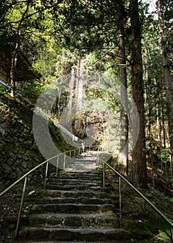 Mountain path leading to Iwayaji, temple number 45 of Shikoku pilgrimage