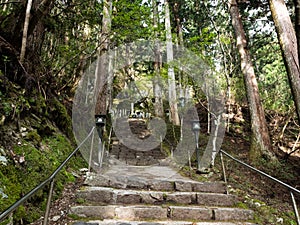 Mountain path leading to Iwayaji, temple number 45 of Shikoku pilgrimage
