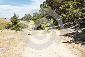 A mountain path in Montes de Valsain photo