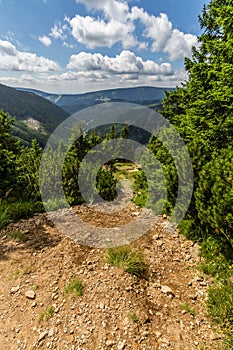 Mountain path in the national park Krkonose