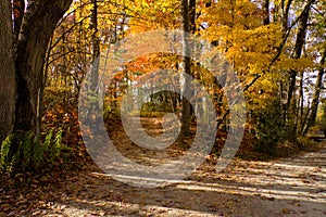 Mountain path near Asheville, North Carolina