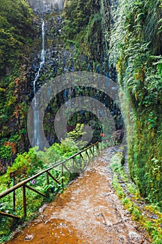 Mountain path to Levada das 25 fontes, Madeira Island, Portugal