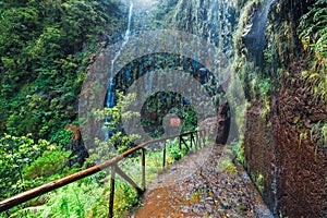 Mountain path to Levada das 25 fontes and Levada do Risco , Madeira