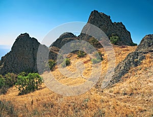 Mountain path and yellow grass