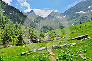 Mountain paths and beautiful views of the Carpathians