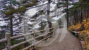 Mountain paths in the Huangshan National Park. China