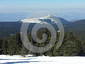 Mountain peak in Kopaonik