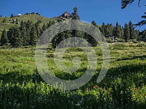 Mountain peak and meadow