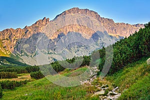 Summer mountain landscape.