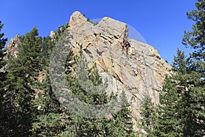 Mountain Peak and Pine Trees