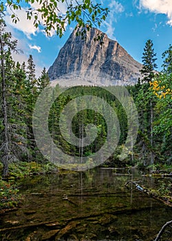 Mountain Peak Surrounded By Forest in Canada