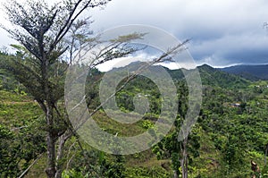 Mountain Peak and Valley of Cordillera Central in Jayuya photo