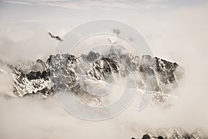 Mountain peak view from Krivan in slovakia - vintage retro look