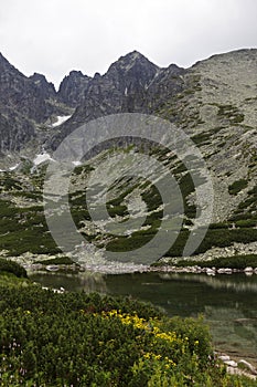 Pohľad na horské štíty a vysokohorskú krajinu Vysoké Tatry, Slovensko