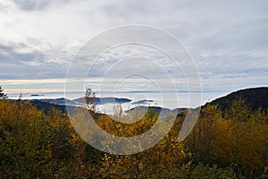 Mountain peaks of the Black Forest shrouded in mist