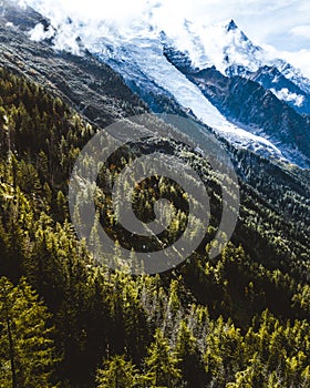 Mountain peaks in Chamonix-Mont-Blanc. France. French alps, beautiful trees. National park.