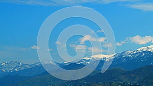 Mountain Peaks And Cloudy Sky. Landscape With Pine Trees Covered With Snow In Spruce Forest In Cold Mountains. Real time photo