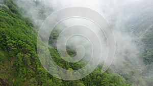 Mountain peaks are covered with rainforest and clouds. Rain clouds in a tropical climate.