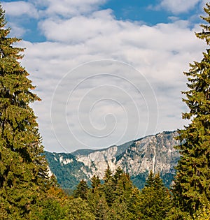 Mountain peaks and fir trees in warm sunlight and dramatic sky