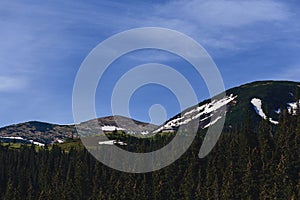 Mountain peaks with greenery and snow in Carpathians