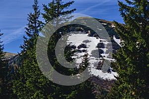 Mountain peaks with greenery and snow in Carpathians