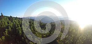 Mountain peaks with mountain pine overgrown