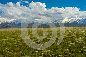 Mountain peaks and scenic view of steppe with feathergrass