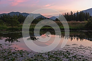 Mountain peaks sunset view with Reflection in the marsh in twilight