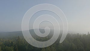Mountain peaks view mountain forest trees. Mountainous terrain and forest in the fog. Beautiful forest and mountain photo