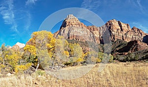 Mountain Peaks in Zion National Park Utah