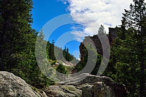 Mountain Pine Trees and Large Rocks