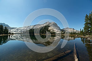 Mountain and pine trees reflecting on alpine lake