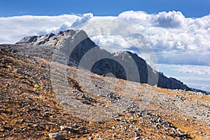 Mountain plateau in the autumn. Khibiny mountains. Russia