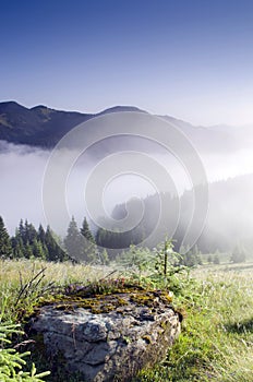 Mountain plateau landscape