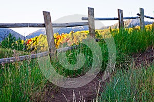 Mountain Pole Fence
