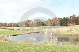 The mountain pond glistens in the sun on a sunny fall day